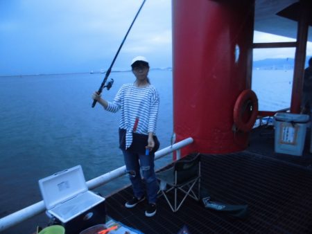 尼崎市立魚つり公園 釣果