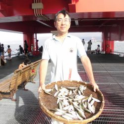 尼崎市立魚つり公園 釣果