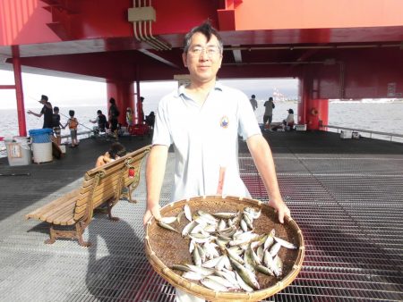 尼崎市立魚つり公園 釣果