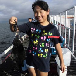 尼崎市立魚つり公園 釣果