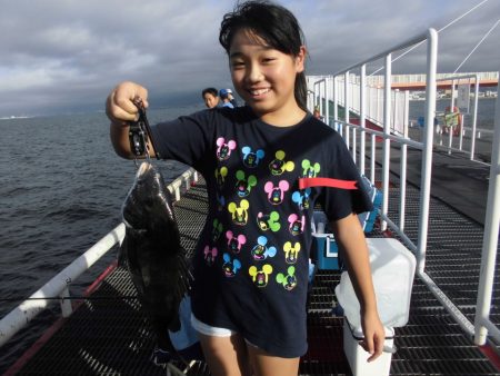 尼崎市立魚つり公園 釣果