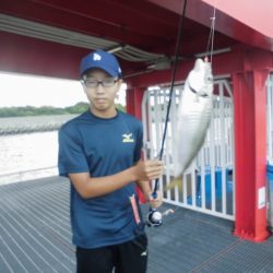 尼崎市立魚つり公園 釣果