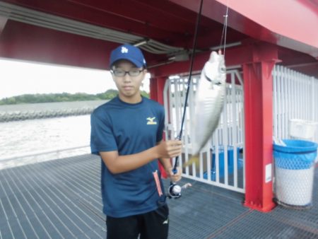 尼崎市立魚つり公園 釣果