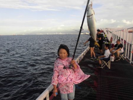 尼崎市立魚つり公園 釣果