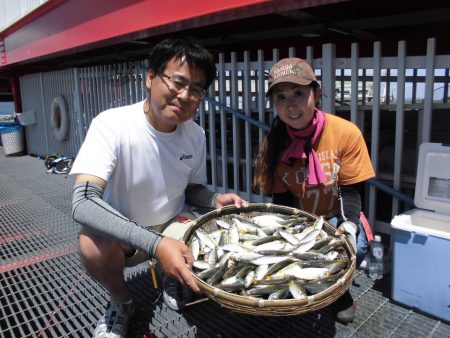 尼崎市立魚つり公園 釣果