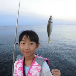 尼崎市立魚つり公園 釣果