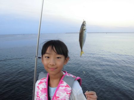 尼崎市立魚つり公園 釣果