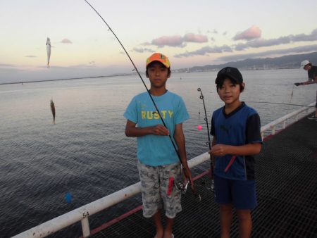 尼崎市立魚つり公園 釣果