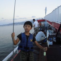 尼崎市立魚つり公園 釣果