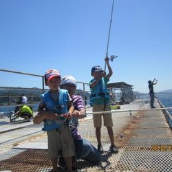 下関フィッシングパーク 釣果