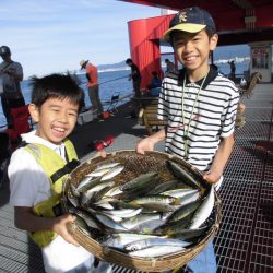 尼崎市立魚つり公園 釣果