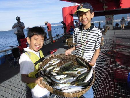尼崎市立魚つり公園 釣果