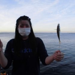 尼崎市立魚つり公園 釣果