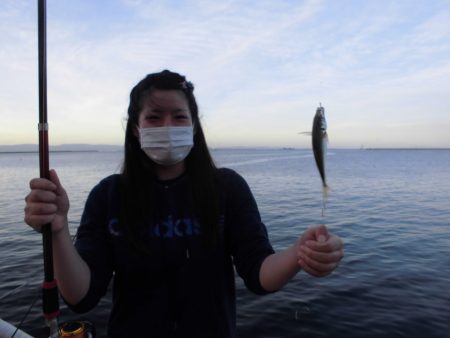 尼崎市立魚つり公園 釣果