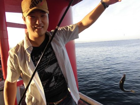 尼崎市立魚つり公園 釣果