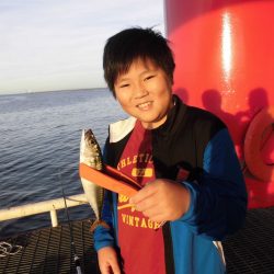 尼崎市立魚つり公園 釣果