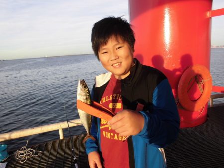 尼崎市立魚つり公園 釣果