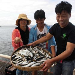 尼崎市立魚つり公園 釣果
