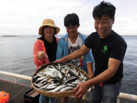 尼崎市立魚つり公園 釣果