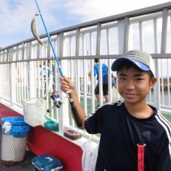 尼崎市立魚つり公園 釣果