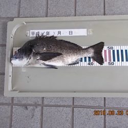 姫路市立遊魚センター 釣果