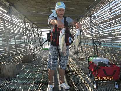 下関フィッシングパーク 釣果