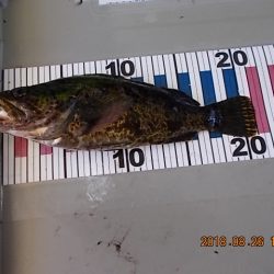 姫路市立遊魚センター 釣果