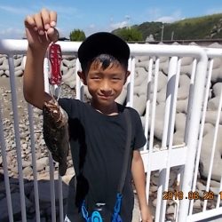 姫路市立遊魚センター 釣果