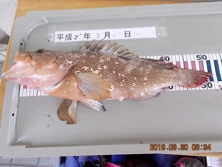姫路市立遊魚センター 釣果