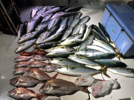 ふじしめ丸 釣果