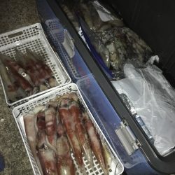 寿裕 （YOSHIHIRO） 釣果