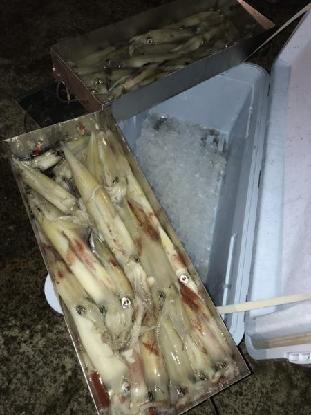 寿裕 （YOSHIHIRO） 釣果