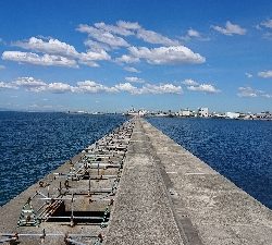 釣り部 釣行記 20