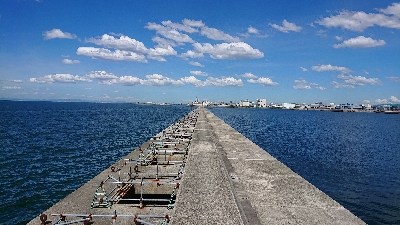 釣り部  釣行記  20