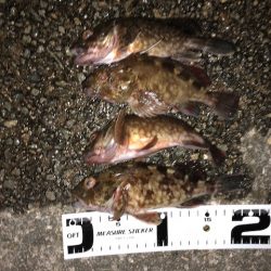 神戸ガシリング6