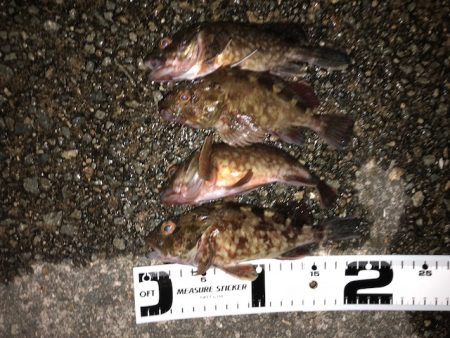 神戸ガシリング6