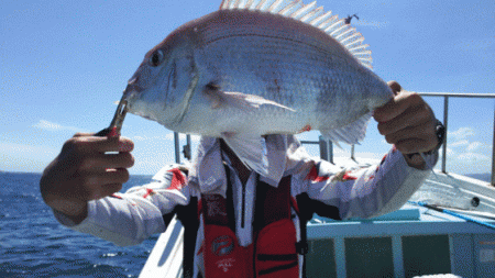 清和丸 釣果