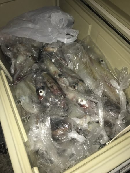 寿裕 （YOSHIHIRO） 釣果