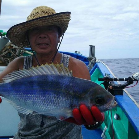 フィッシングハウス伊藤 釣果