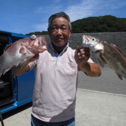 大進丸(新潟) 釣果