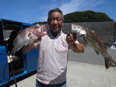 大進丸(新潟) 釣果