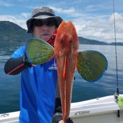 遊漁船　ニライカナイ 釣果