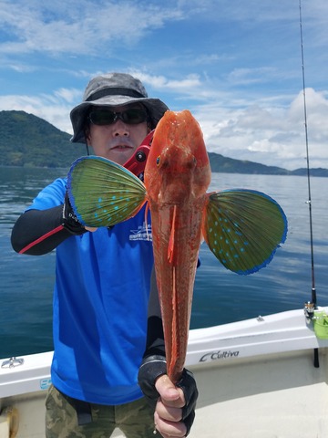 遊漁船　ニライカナイ 釣果