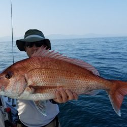遊漁船 ニライカナイ 釣果