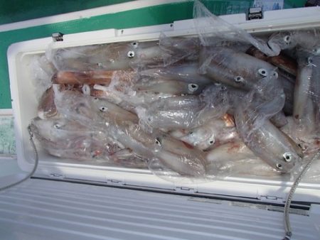 第二むつ漁丸 釣果