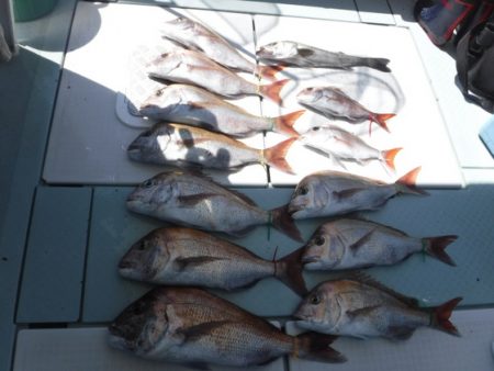 遊漁船 幸友丸 釣果