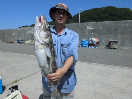 大進丸(新潟) 釣果