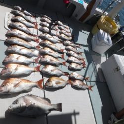 遊漁船 幸友丸 釣果