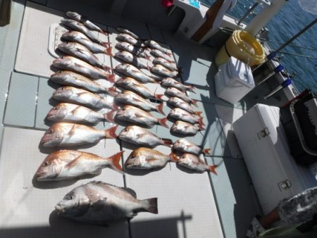 遊漁船 幸友丸 釣果