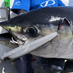 へいみつ丸 釣果